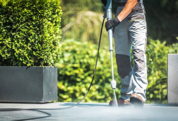 Best Sidewalk and Walkway Cleaning  in Honeoye Falls, NY