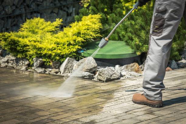 Best Soft Washing  in Honeoye Falls, NY